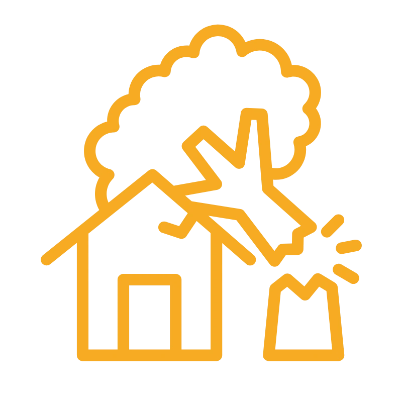 emergency tree care