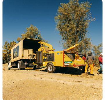 los angeles tree service