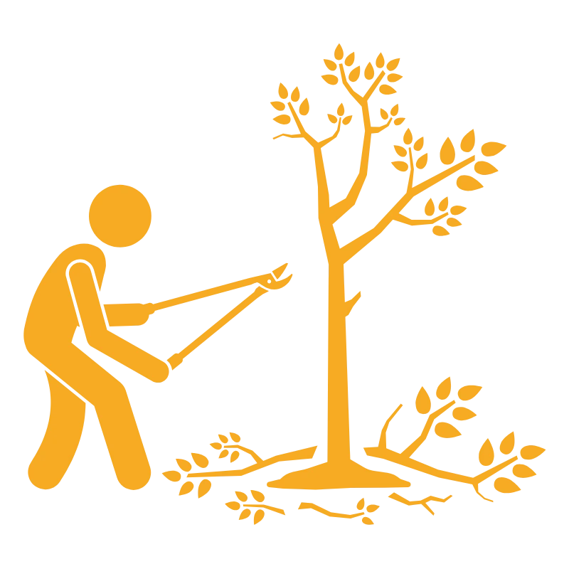 tree trimming