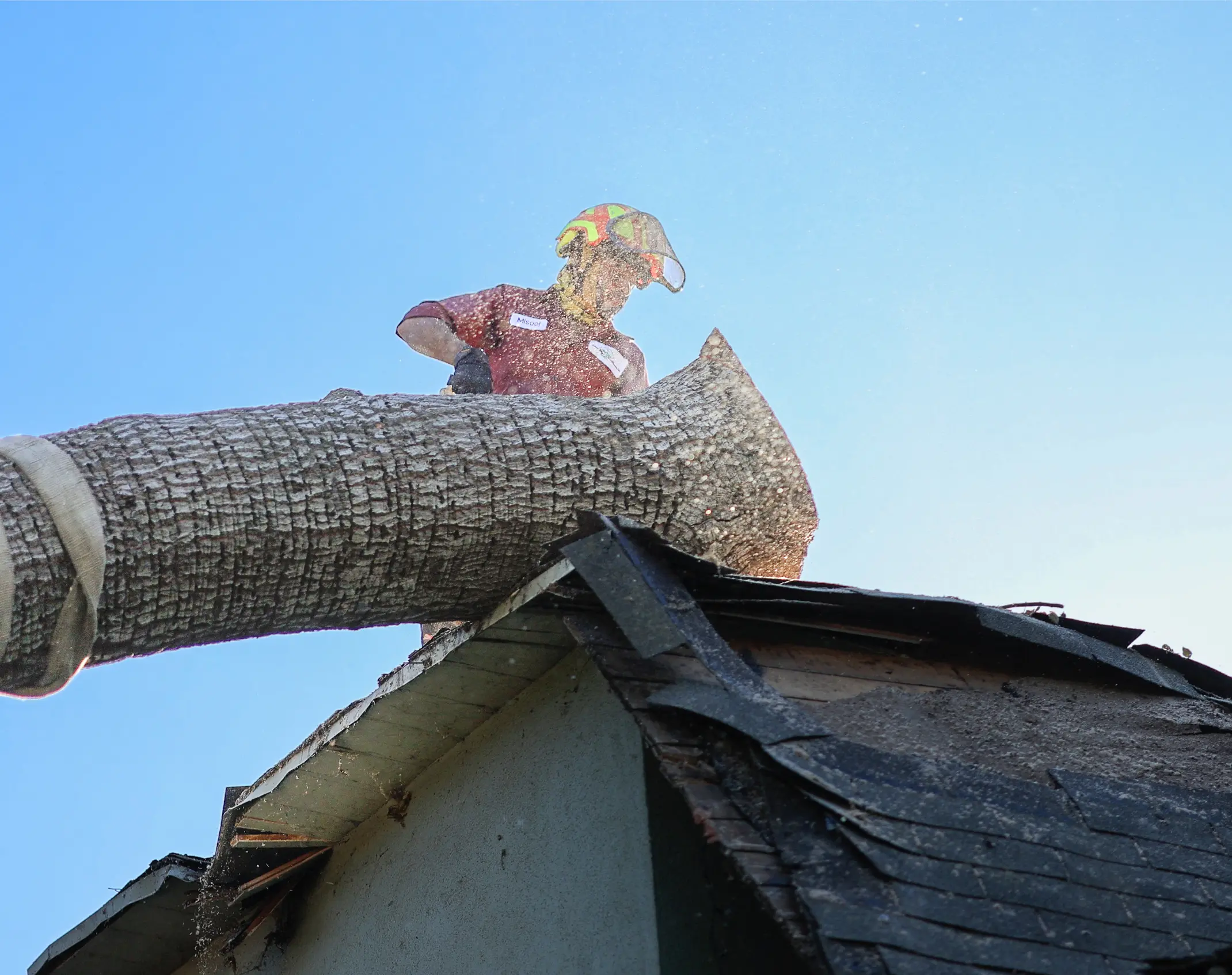 Emergency Tree Service