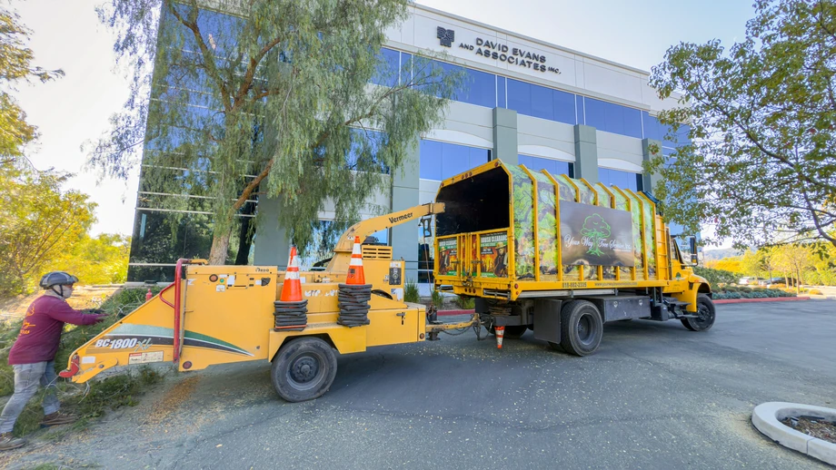 Commercial Tree Service 2