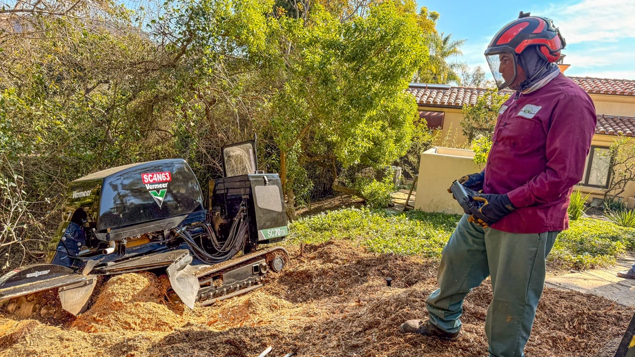 Stump Grinding Services